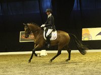 Expression 201113_2198